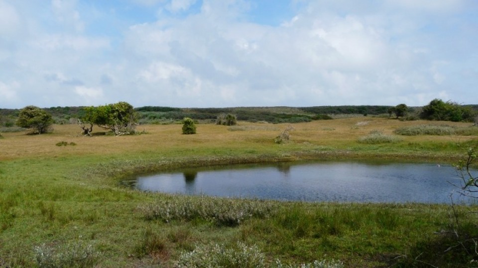 De Manteling op Walcheren