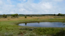 Tweede Kamer wil dat kabinet EU-natuurwet blokkeert