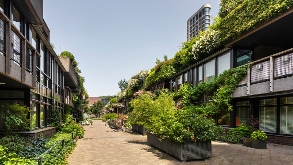 Gebouwen in het groen
