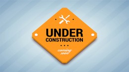 DSO vereist ‘radicaal andere koers’