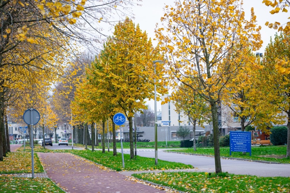 Bomen op een bedrijventerrein in Waddinxveen