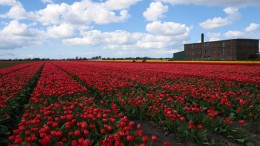 ‘Hier komt geen crimineel binnen’
