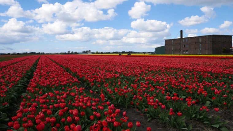 ‘Hier komt geen crimineel binnen’