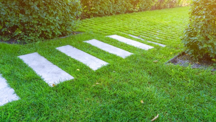Op zoek naar balans tussen rood en groen