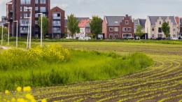 Hoe wij uitvoering opgaven van het landelijk gebied versnellen