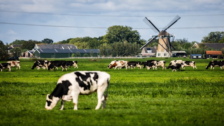 Provincies: voor kerst gesprek over PAS-melders