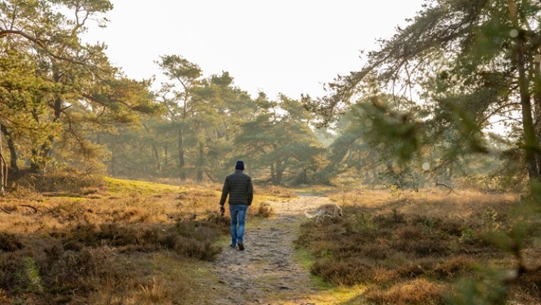 Van ambitie naar effect: inzicht als sleutel voor betere keuzes
